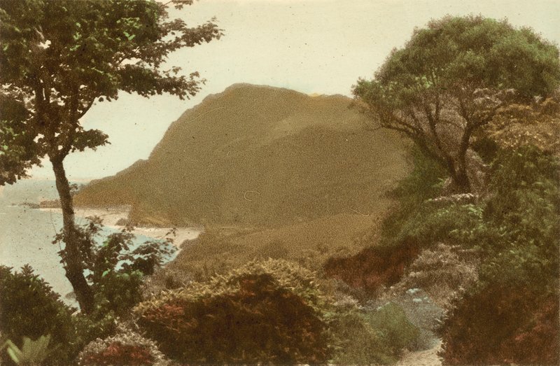 Ilfracombe, Hillsborough fra St James Gardens av English Photographer