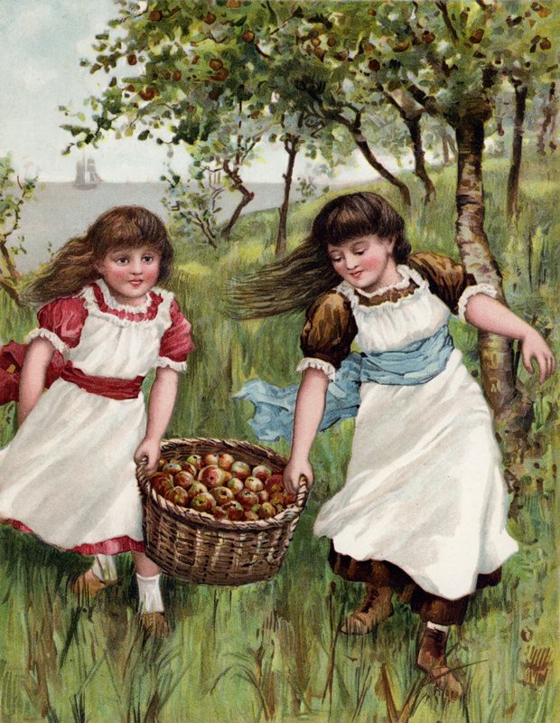 En kurv med sommerfrukt av English School