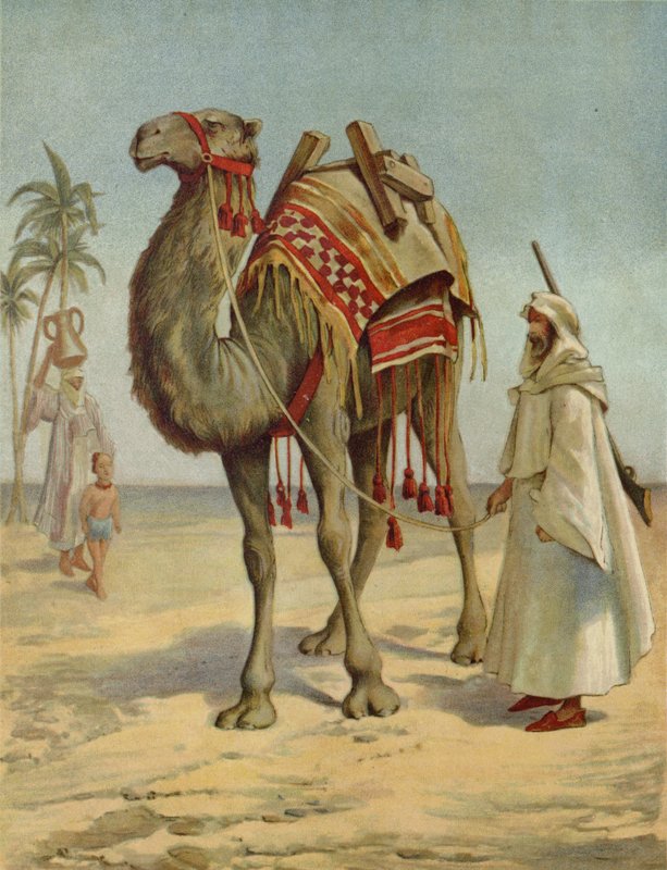 En arabisk kjøpmann av English School