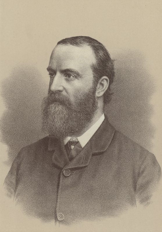 Charles Stewart Parnell , irsk nasjonalistisk politisk leder, landreformagitator og grunnlegger og leder av det irske parlamentariske partiet av English School