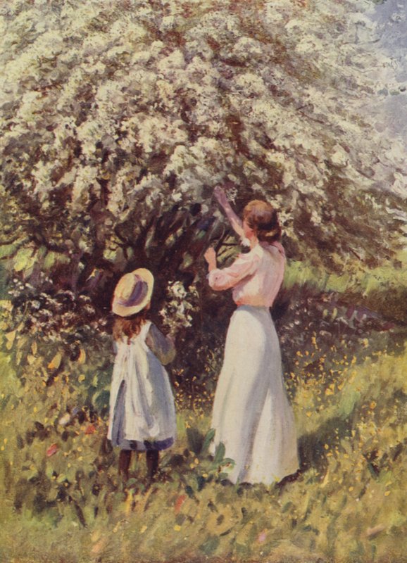 mai blomstre av English School