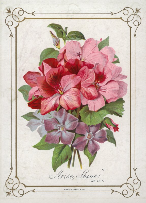 Posy av blomster av English School