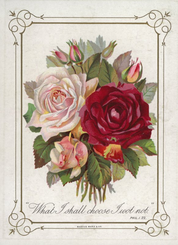 Posy av blomster av English School