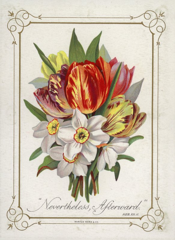 Posy av blomster av English School