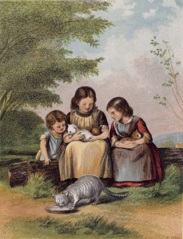 The Pet Kattungene av English School