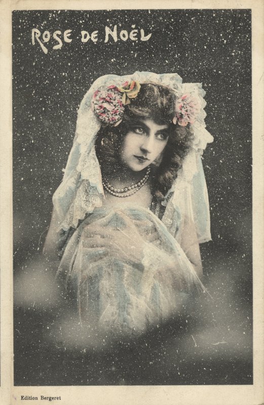 Julerose av French Photographer
