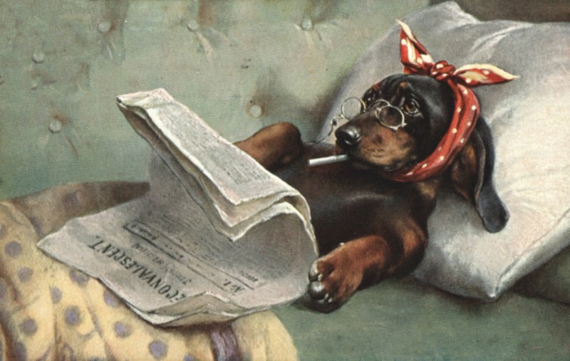 Hund leser en avis av French School