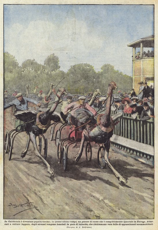 I California har blitt veldig populær, i nyere tid, en sjanger av racing som? av Achille Beltrame