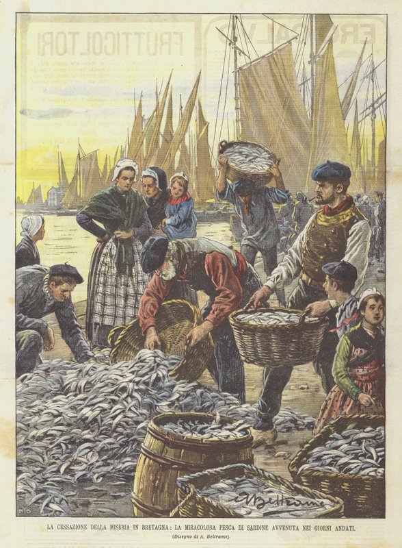 The End Of Misery In Bretagne, The Miraculous Sardin Catch In Days Gone av Achille Beltrame