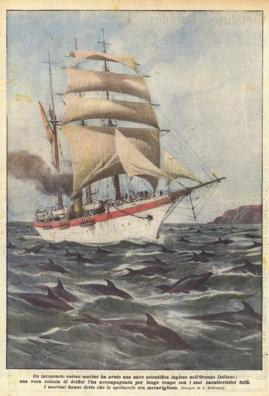 Hadde en uvanlig marin prosesjon et engelsk vitenskapsskip i Det indiske hav? av Achille Beltrame