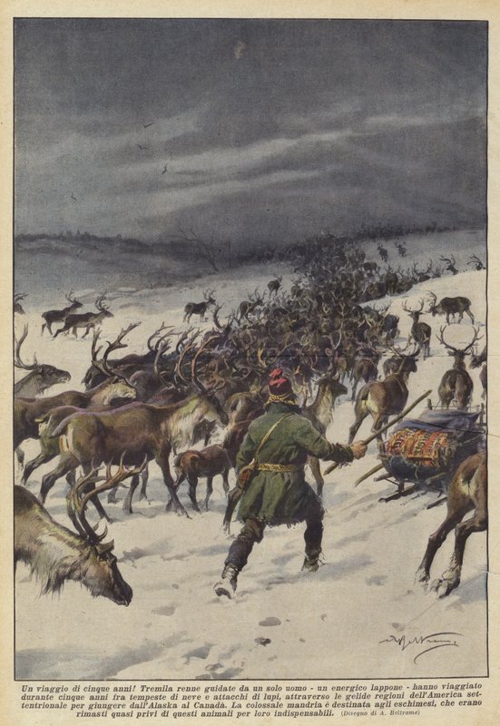 En fem års reise! av Achille Beltrame