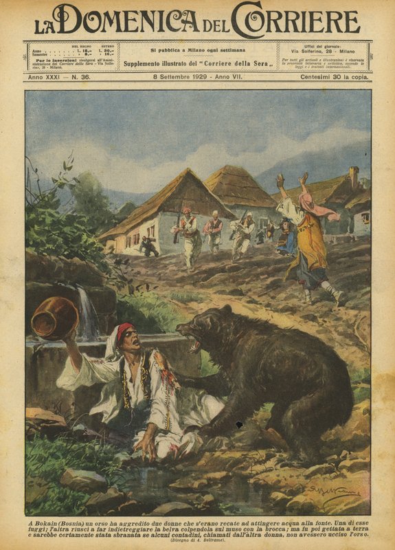 I Bokain (Bosnia) angrep en bjørn to kvinner som dro for å hente vann fra kilden av Achille Beltrame