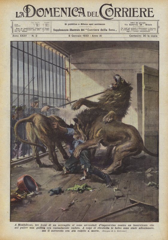 I Monfalcone stormet plutselig tre løver i et menasjeri mot en ledsager hvem? av Achille Beltrame