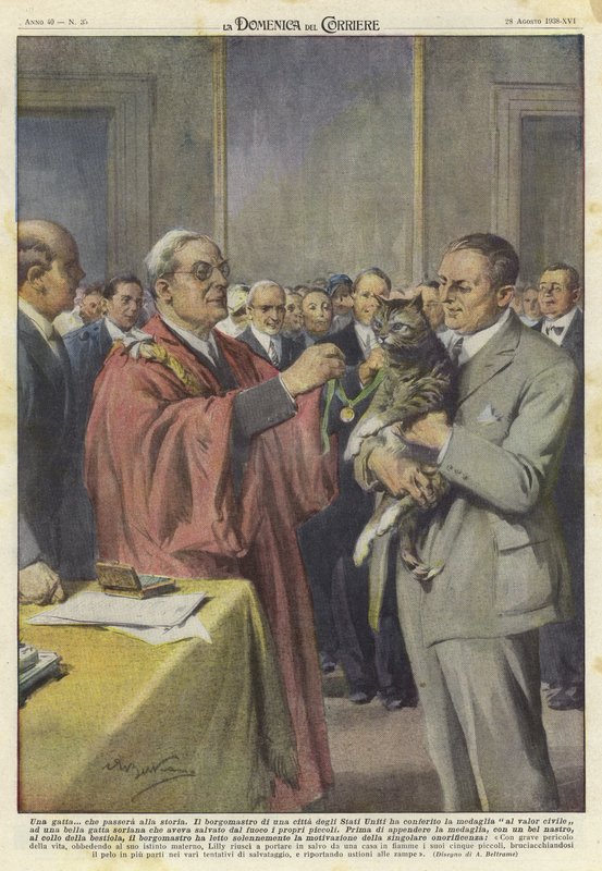 En katt hedret med en medalje av Achille Beltrame