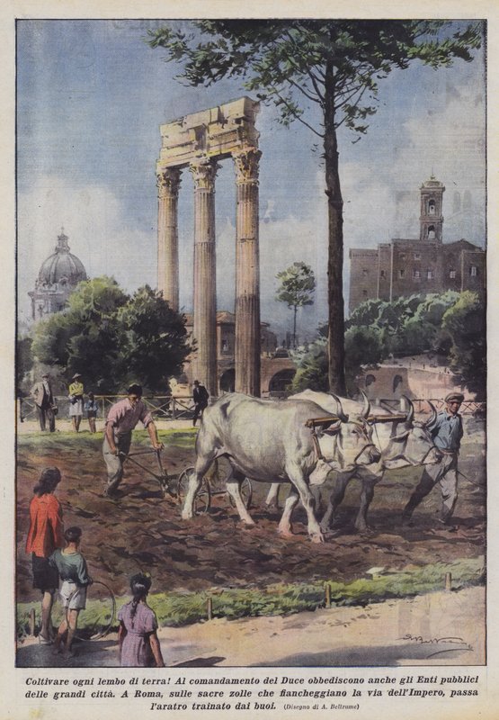 Dyrk hver stripe land! av Achille Beltrame