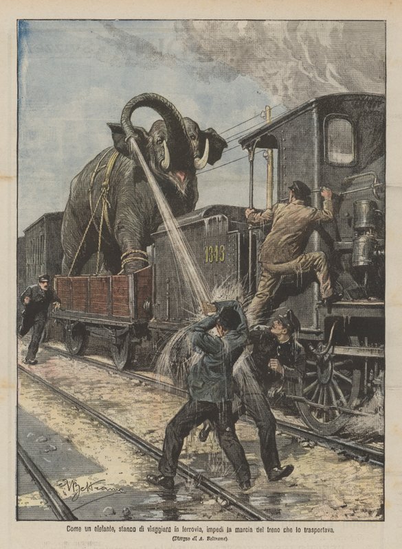 Som en elefant, lei av å reise med jernbane, hindrer du toget som fraktet den i å bevege seg av Achille Beltrame