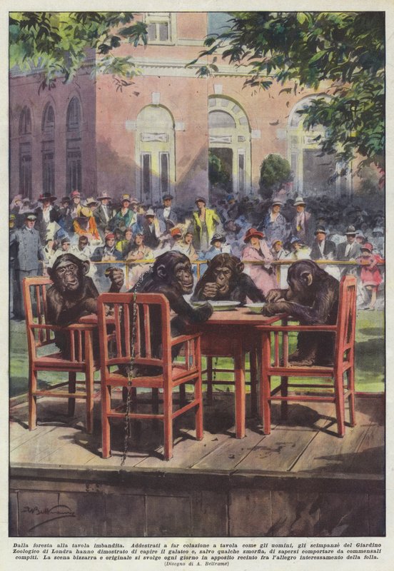 Fra skogen til dekket bord av Achille Beltrame