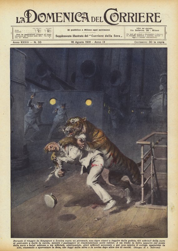 Mens han reiste fra Singapore til London på en dampbåt, klarte en tiger å rømme fra buret av Achille Beltrame