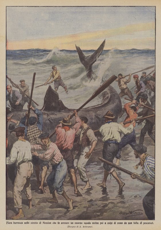 Heftig storm i Messinastredet som strandet en stor hai og deretter drept med en åre? av Achille Beltrame
