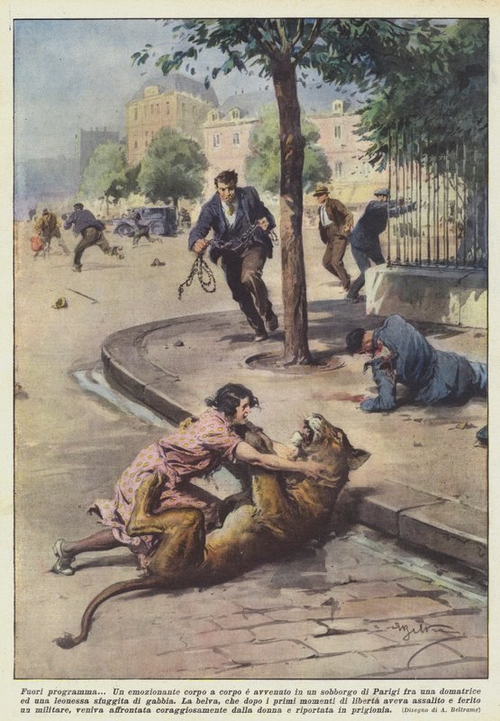 Utenfor skjema av Achille Beltrame