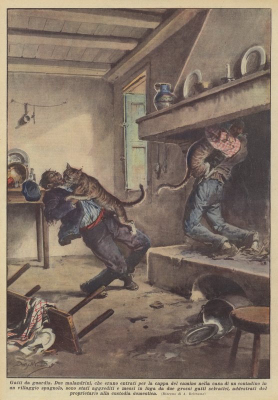Vakt katter av Achille Beltrame