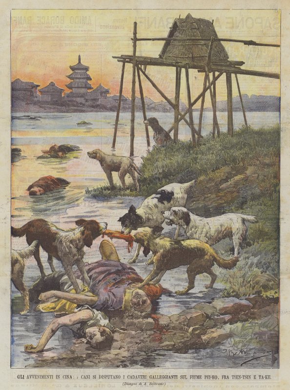 Begivenheter i Kina, hunder leker lik som flyter på Pei-Ho-elven, mellom Tien-Tsin og Ta-Ku av Achille Beltrame