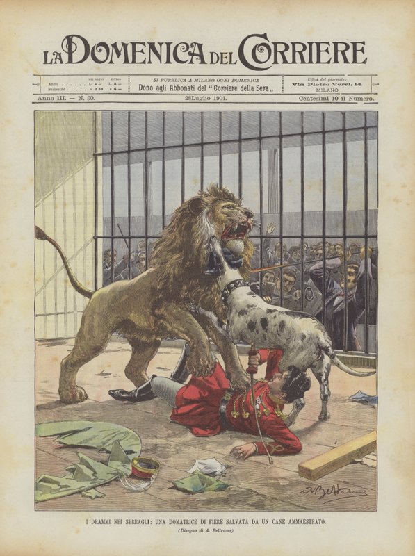 The Dramas In Menageries, A Fair Tamer reddet av en trent hund av Achille Beltrame