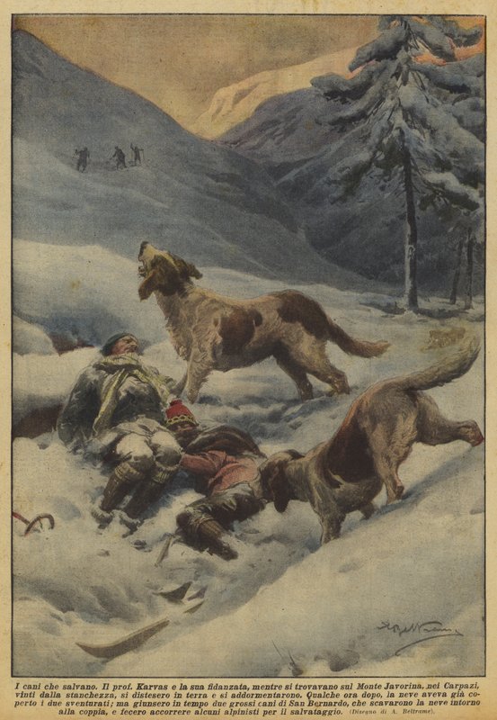 Hundene som redder av Achille Beltrame
