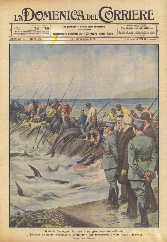 Kongen på Sardinia av Achille Beltrame