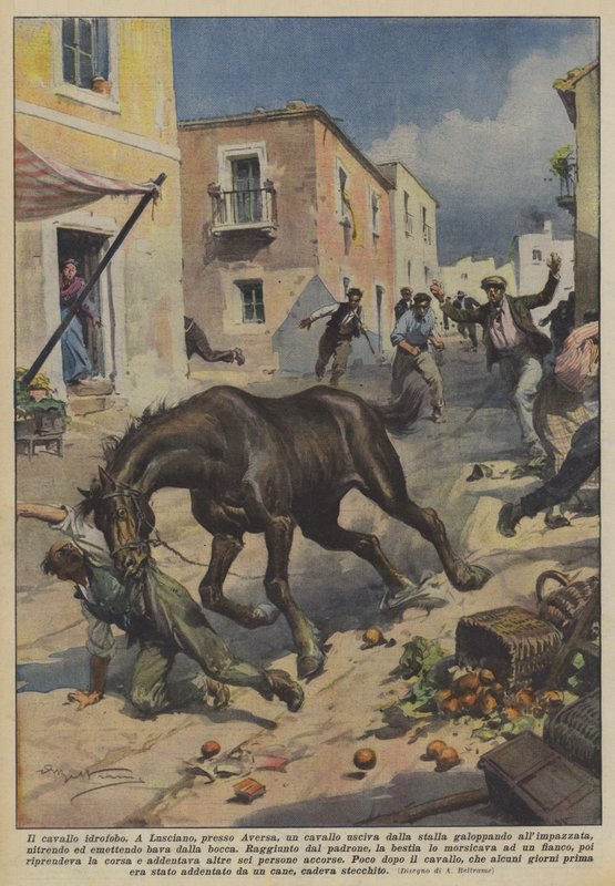 Den hydrofobe hesten av Achille Beltrame