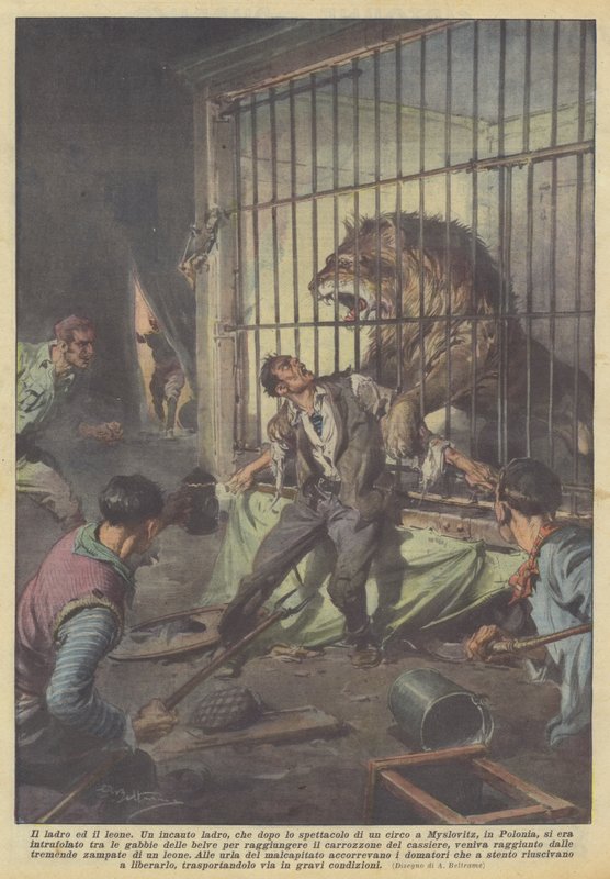 Tyven og løven av Achille Beltrame