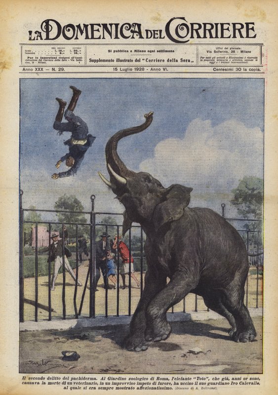 Den andre forbrytelsen av pachyderm av Achille Beltrame