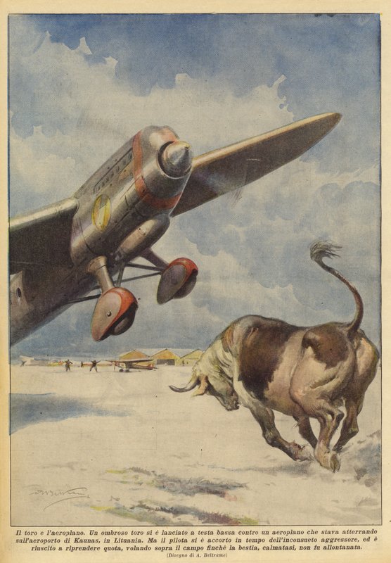 Oksen og flyet av Achille Beltrame