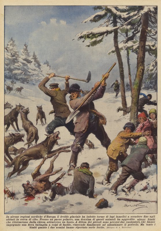 Har den iskalde kulden i noen nordlige regioner av Europa forårsaket flokker av glupske ulver? av Achille Beltrame