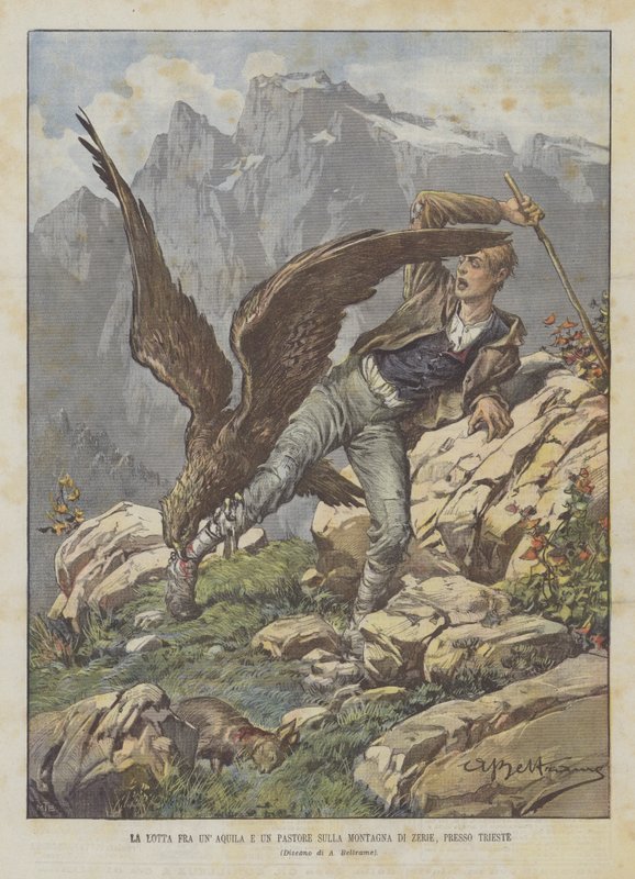 Kampen mellom en ørn og en gjeter på fjellet Zerie, nær Trieste av Achille Beltrame