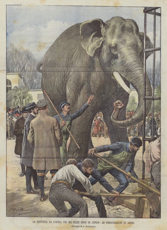 Avgangen fra London for Jingo USA, avskjedsdemonstrasjonene av Achille Beltrame