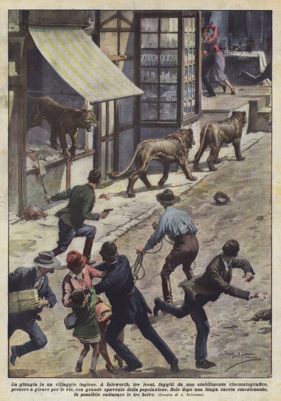 Jungelen i en engelsk landsby av Achille Beltrame