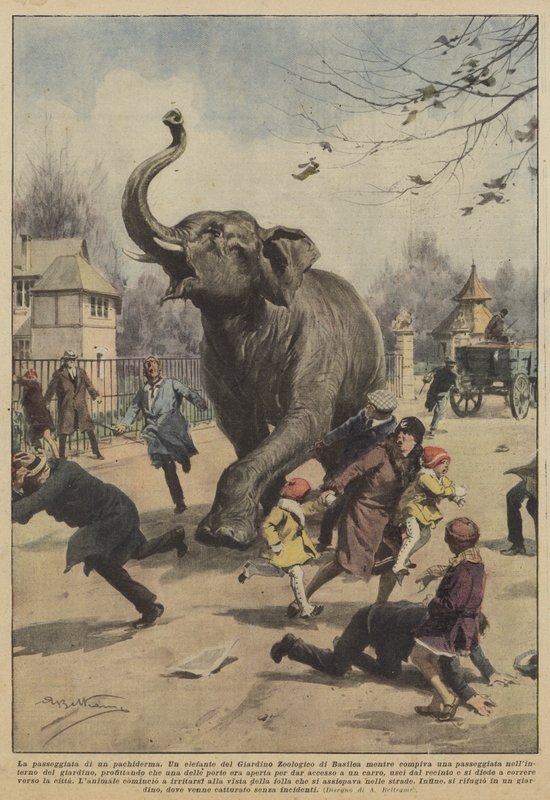 Gangen til en pachyderm av Achille Beltrame