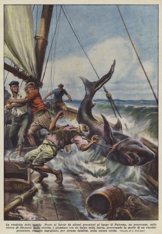 Haiens hevn av Achille Beltrame