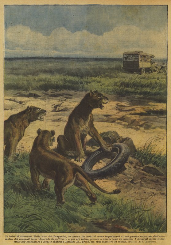 Dyrene har det gøy av Achille Beltrame