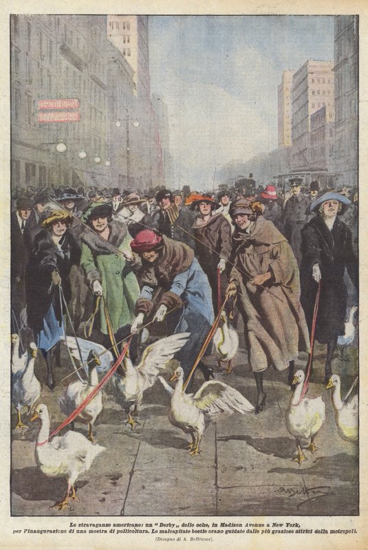 Amerikanske utskeielser, et Geese Derby, på Madison Avenue i New York, til innvielsen? av Achille Beltrame
