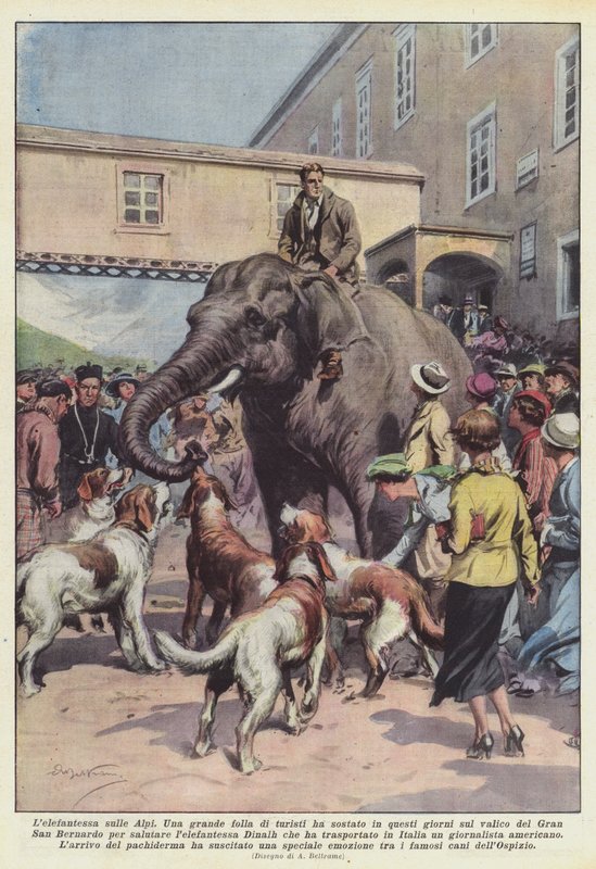 Elefanten på Alpene av Achille Beltrame