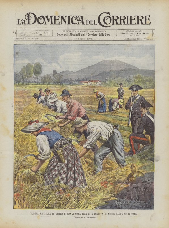 Gratis høsting i Free State, hvordan det begynte i mange italienske kampanjer av Achille Beltrame