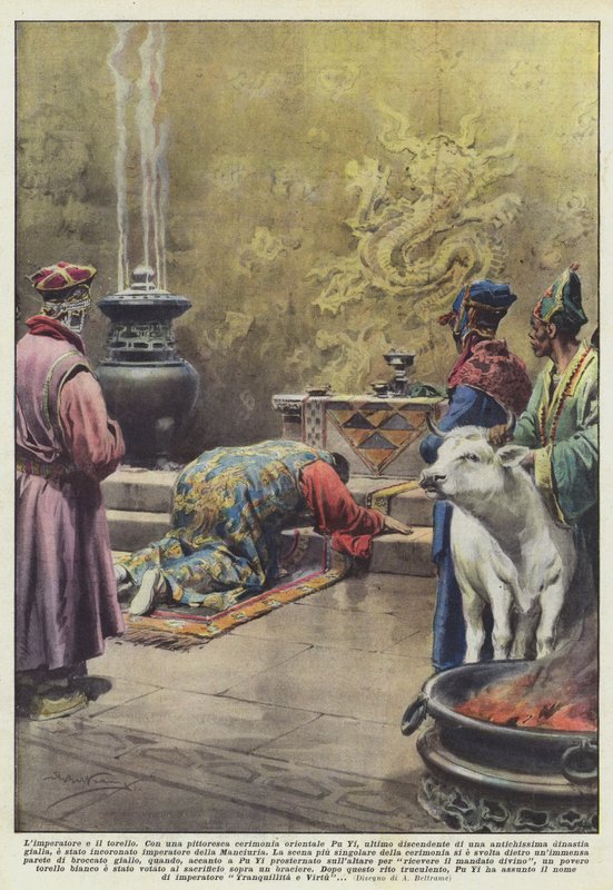 Keiseren og den unge oksen av Achille Beltrame