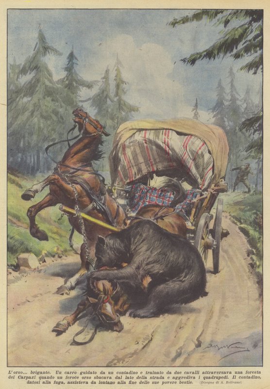 Bjørnen? brigand av Achille Beltrame