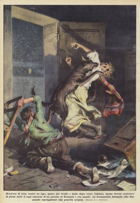 En halvtimes kamp mot en ulv, drevet av kulde og sult mot landsbyen? av Achille Beltrame