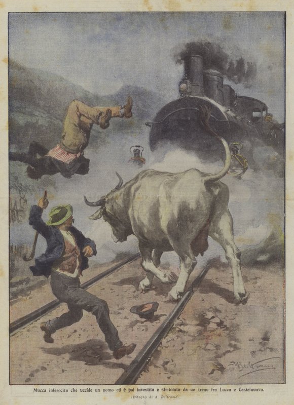 En sint ku som dreper en mann og deretter blir truffet og knust av et tog mellom Lucca og Castelnuovo av Achille Beltrame