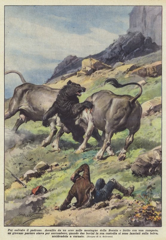 For å redde mesteren av Achille Beltrame