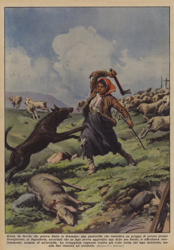 Eventyrscene som kan ende i drama, en gjeterinne som vokter en saueflokk? av Achille Beltrame