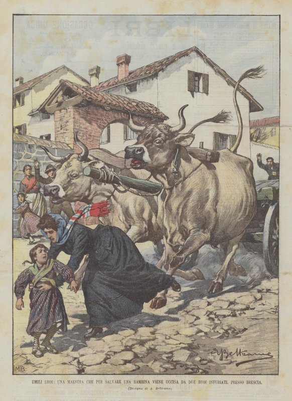 Ydmyke helter, en lærer som skal redde en liten jente, blir drept av to rasende okser, nær Brescia av Achille Beltrame